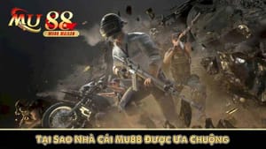 Seção de cassino ao vivo com dealers profissionais